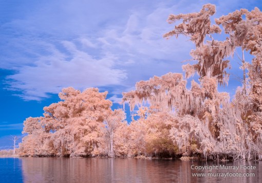 Bayou, Infrared, Landscape, Mississippi River, Nature, New Orleans, Photography, Travel, USA, Wilderness
