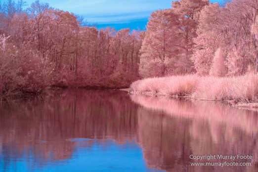 Bayou, Infrared, Landscape, Mississippi River, Nature, New Orleans, Photography, Travel, USA, Wilderness