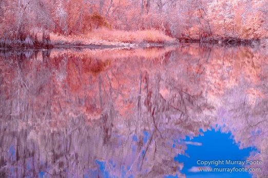 Bayou, Infrared, Landscape, Mississippi River, Nature, New Orleans, Photography, Travel, USA, Wilderness