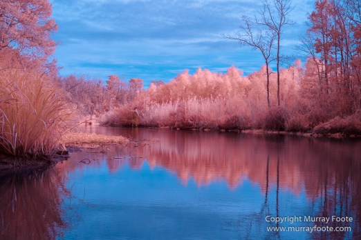Bayou, Infrared, Landscape, Mississippi River, Nature, New Orleans, Photography, Travel, USA, Wilderness