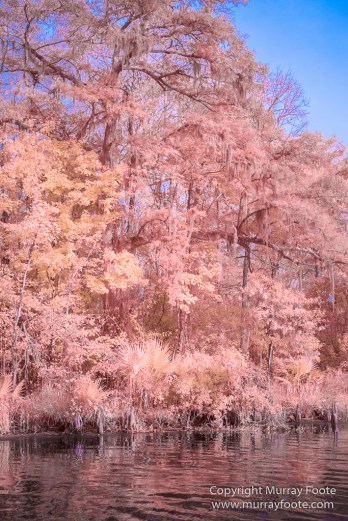Bayou, Infrared, Landscape, Mississippi River, Nature, New Orleans, Photography, Travel, USA, Wilderness