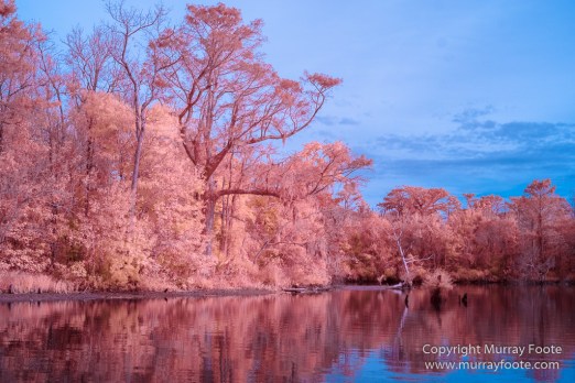 Bayou, Infrared, Landscape, Mississippi River, Nature, New Orleans, Photography, Travel, USA, Wilderness