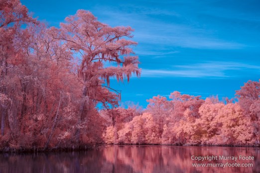 Bayou, Infrared, Landscape, Mississippi River, Nature, New Orleans, Photography, Travel, USA, Wilderness
