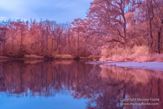 Bayou, Infrared, Landscape, Mississippi River, Nature, New Orleans, Photography, Travel, USA, Wilderness