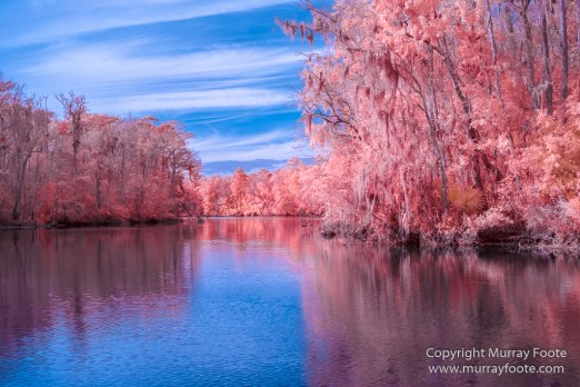 Bayou, Infrared, Landscape, Mississippi River, Nature, New Orleans, Photography, Travel, USA, Wilderness