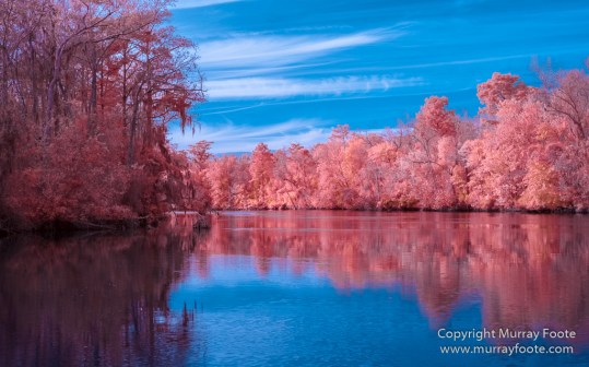 Bayou, Infrared, Landscape, Mississippi River, Nature, New Orleans, Photography, Travel, USA, Wilderness