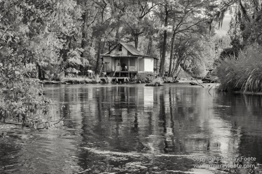Architecture, Bayou, Black and White, Infrared, Landscape, Mississippi River, Monochrome, Nature, New Orleans, Photography, Travel, USA, Wilderness