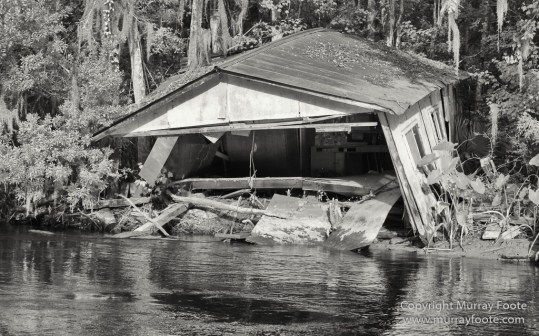 Architecture, Bayou, Black and White, Infrared, Landscape, Mississippi River, Monochrome, Nature, New Orleans, Photography, Travel, USA, Wilderness