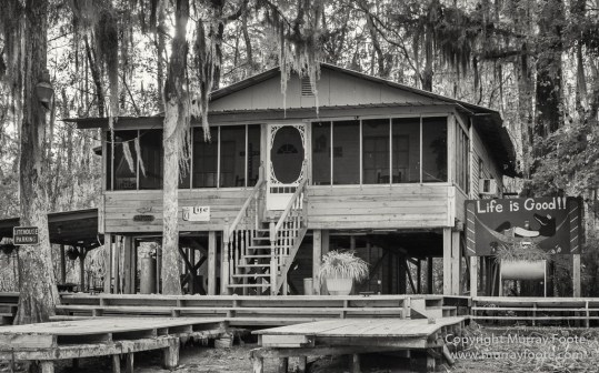 Architecture, Bayou, Black and White, Infrared, Landscape, Mississippi River, Monochrome, Nature, New Orleans, Photography, Travel, USA, Wilderness