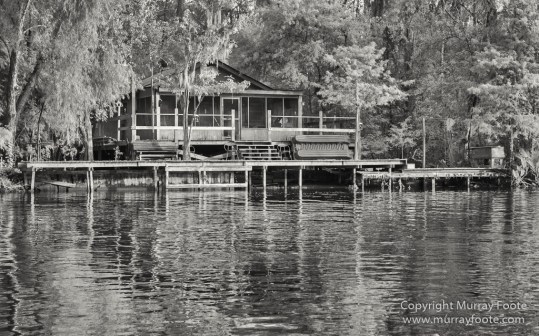 Architecture, Bayou, Black and White, Infrared, Landscape, Mississippi River, Monochrome, Nature, New Orleans, Photography, Travel, USA, Wilderness