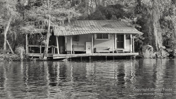 Architecture, Bayou, Black and White, Infrared, Landscape, Mississippi River, Monochrome, Nature, New Orleans, Photography, Travel, USA, Wilderness