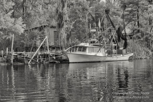 Architecture, Bayou, Black and White, Infrared, Landscape, Mississippi River, Monochrome, Nature, New Orleans, Photography, Travel, USA, Wilderness