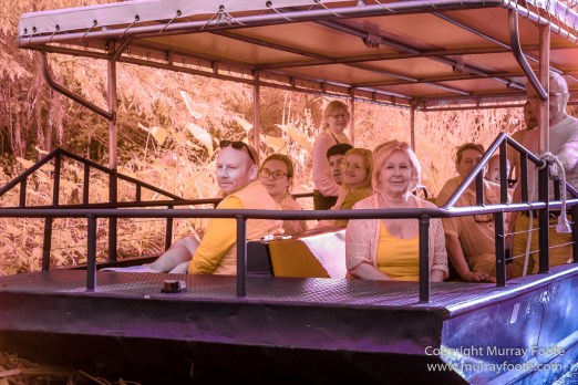 Bayou, Infrared, Landscape, Mississippi River, Nature, New Orleans, Photography, Travel, USA, Wilderness