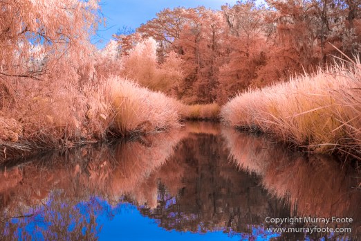 Bayou, Infrared, Landscape, Mississippi River, Nature, New Orleans, Photography, Travel, USA, Wilderness