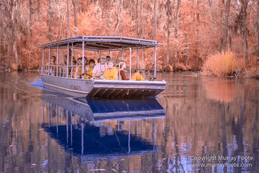 Bayou, Infrared, Landscape, Mississippi River, Nature, New Orleans, Photography, Travel, USA, Wilderness