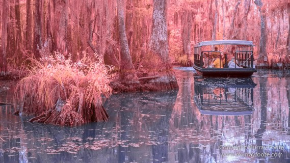 Bayou, Infrared, Landscape, Mississippi River, Nature, New Orleans, Photography, Travel, USA, Wilderness