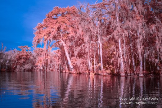 Bayou, Infrared, Landscape, Mississippi River, Nature, New Orleans, Photography, Travel, USA, Wilderness