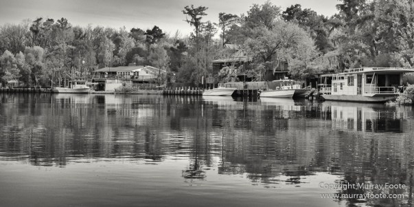 Architecture, Bayou, Black and White, Infrared, Landscape, Mississippi River, Monochrome, Nature, New Orleans, Photography, Travel, USA, Wilderness