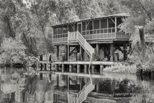 Architecture, Bayou, Black and White, Infrared, Landscape, Mississippi River, Monochrome, Nature, New Orleans, Photography, Travel, USA, Wilderness