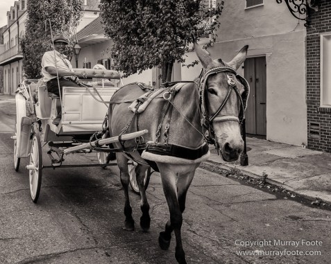 Architecture, Black and White, Monochrome, New Orleans, Photography, Street photography, Travel, USA