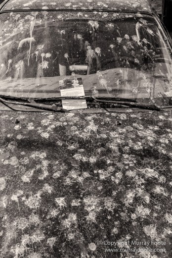 Architecture, Black and White, Monochrome, New Orleans, Photography, Street photography, Travel, USA