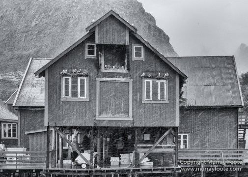 Andenes, Architecture, Å, Ballstad, Eggumsveien Nature Reserve, Gryllefjord, Henningsvaer, Landscape, Lofoten Islands, Norway, Nusfjord, Photography, Reine, seascape, Travel