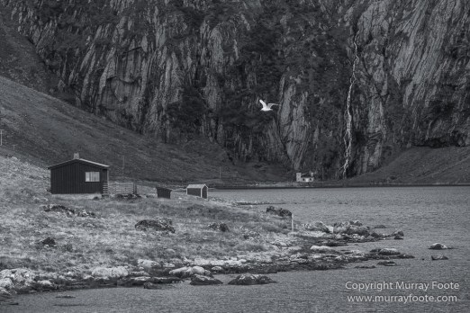 Andenes, Architecture, Å, Ballstad, Eggumsveien Nature Reserve, Gryllefjord, Henningsvaer, Landscape, Lofoten Islands, Norway, Nusfjord, Photography, Reine, seascape, Travel
