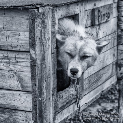 Architecture, Black and White, Coal, Landscape, Longyearbyen, Monochrome, Nordenskiöld Glacier, Photography, Pyramiden, Russia, seascape, Spitsbergen, Travel, Wilderness, Wildlife