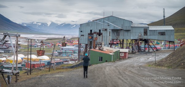Coal, History, Huskies, Longyearbyen, Nature, Photography, Reindeer, seascape, Spitsbergen, Travel, Wildlife