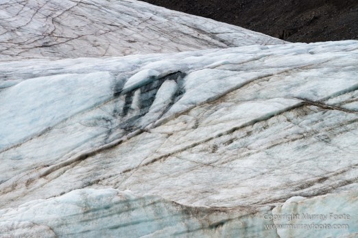 Black guillemot, Glacier, Kittiwake, Lilliehöökbreen, Nature, Photography, seascape, Spitsbergen, Travel, Wilderness, Wildlife