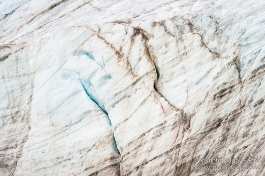 Black guillemot, Glacier, Kittiwake, Lilliehöökbreen, Nature, Photography, seascape, Spitsbergen, Travel, Wilderness, Wildlife
