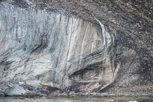 Glacier, Guillemots, Hamiltonbukta, Icebergs, Nature, Photography, Polar Bears, seascape, Spitsbergen, Travel, Walrus, Wilderness, Wildlife