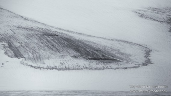 Bearded seal, Black and White, Blue whale, Glacier, Harbour Seals, Landscape, Monochrome, Photography, Polar Bears, seascape, Spitsbergen, Travel, Wilderness, Wildlife