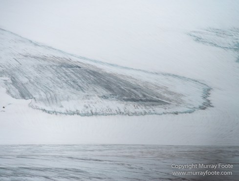Glacier, Guillemots, Hamiltonbukta, Icebergs, Nature, Photography, Polar Bears, seascape, Spitsbergen, Travel, Walrus, Wilderness, Wildlife