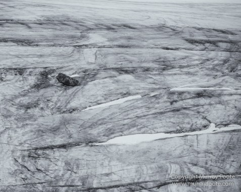 Bearded seal, Black and White, Blue whale, Glacier, Harbour Seals, Landscape, Monochrome, Photography, Polar Bears, seascape, Spitsbergen, Travel, Wilderness, Wildlife
