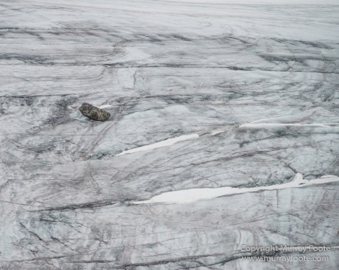 Glacier, Guillemots, Hamiltonbukta, Icebergs, Nature, Photography, Polar Bears, seascape, Spitsbergen, Travel, Walrus, Wilderness, Wildlife