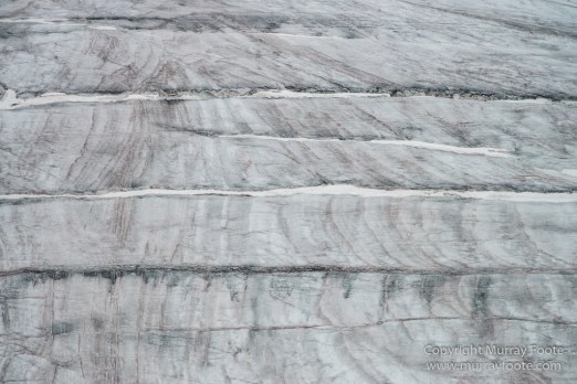 Glacier, Guillemots, Hamiltonbukta, Icebergs, Nature, Photography, Polar Bears, seascape, Spitsbergen, Travel, Walrus, Wilderness, Wildlife
