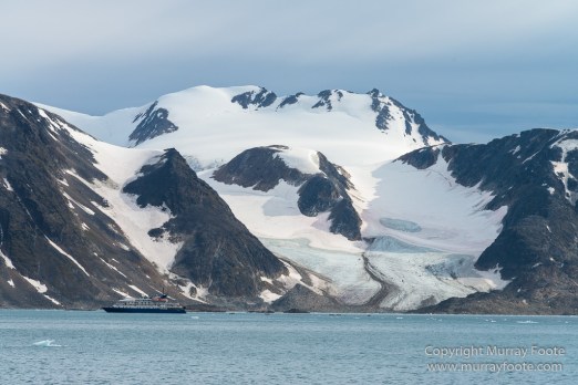 Glacier, Harbour Seals, Icebergs, Nature, Photography, seascape, Smeerenburg, Spitsbergen, Travel, Wilderness, Wildlife