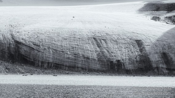 Bearded seal, Black and White, Blue whale, Glacier, Harbour Seals, Landscape, Monochrome, Photography, Polar Bears, seascape, Spitsbergen, Travel, Wilderness, Wildlife