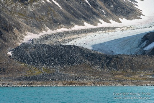 Glacier, Harbour Seals, Icebergs, Nature, Photography, seascape, Smeerenburg, Spitsbergen, Travel, Wilderness, Wildlife