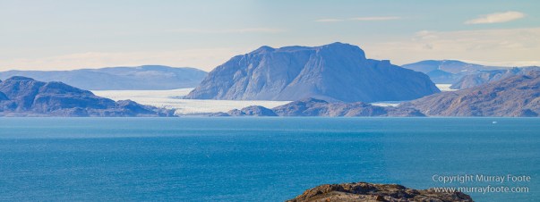 Archaeology, Clavering Island, Greenland, Inuit, Landscape, Musk Ox, Nature, Photography, seascape, Travel, Wilderness, Wildlife