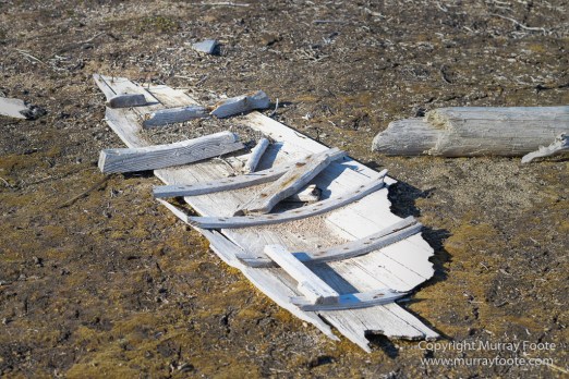 Archaeology, Clavering Island, Greenland, Inuit, Landscape, Musk Ox, Nature, Photography, seascape, Travel, Wilderness, Wildlife
