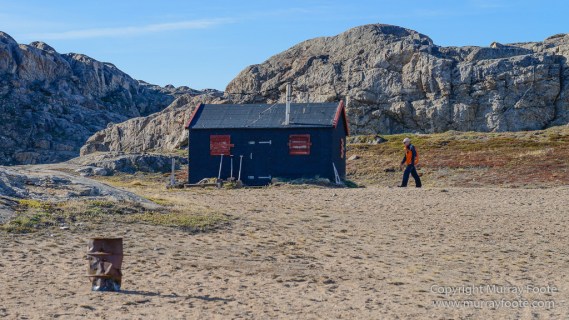 Archaeology, Clavering Island, Greenland, Inuit, Landscape, Musk Ox, Nature, Photography, seascape, Travel, Wilderness, Wildlife