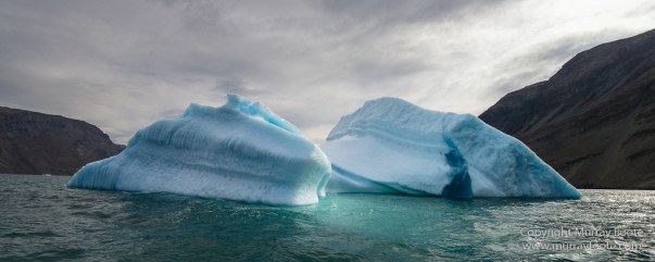 Blomsterbukten, Greenland, Kaiser Franz Joseph Fjord, Landscape, Nanortalik, Nature, Photography, seascape, Travel, Wilderness