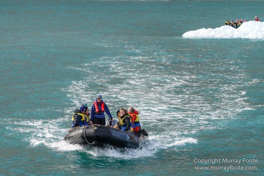 Blomsterbukten, Greenland, Kaiser Franz Joseph Fjord, Landscape, Nanortalik, Nature, Photography, seascape, Travel, Wilderness