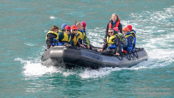 Blomsterbukten, Greenland, Kaiser Franz Joseph Fjord, Landscape, Nanortalik, Nature, Photography, seascape, Travel, Wilderness
