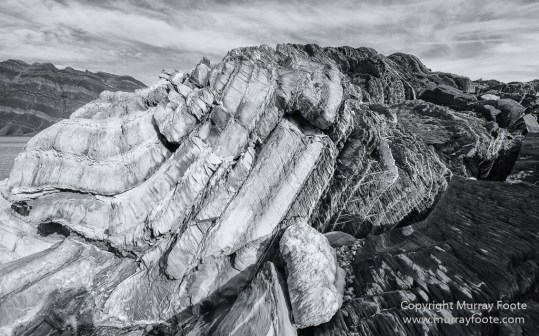 Bearded seal, Black and White, Huskies, Icebergs, Ittoqqortoomiit, Landscape, Monochrome, Musk Ox, Photography, seascape, Travel, Wilderness, Wildlife