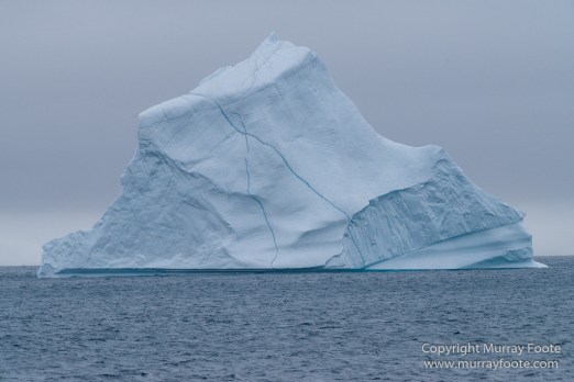 Greenland, Icebergs, Landscape, Nature, Photography, Scoresby Sund, seascape, Travel, Wilderness