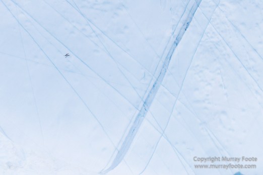 Greenland, Icebergs, Landscape, Nature, Photography, Scoresby Sund, seascape, Travel, Wilderness