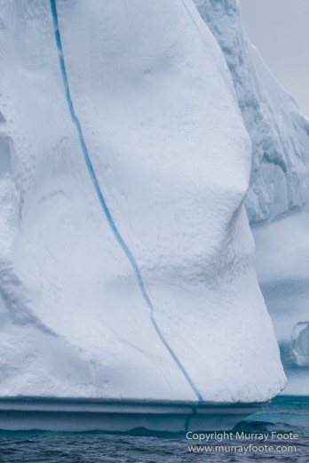 Greenland, Icebergs, Landscape, Nature, Photography, Scoresby Sund, seascape, Travel, Wilderness